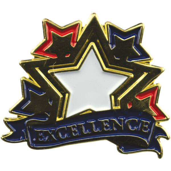 1-1/8" Bright Gold Educational Excellence Lapel Pin