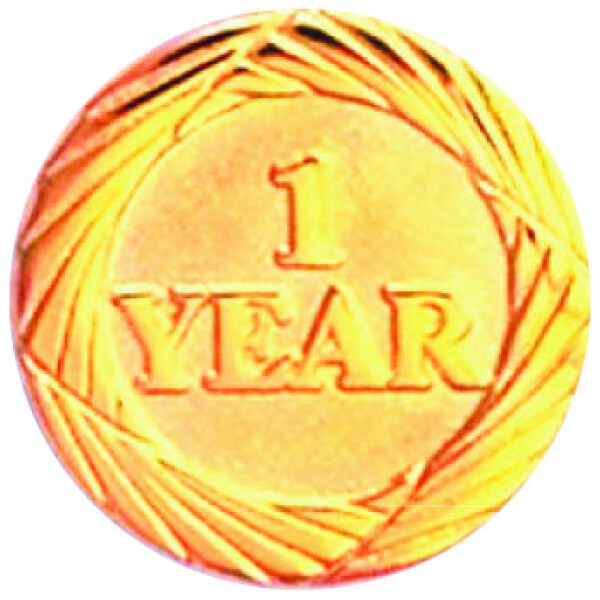 Bright Gold 1 Year Service Lapel Pin