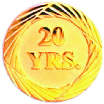 Bright Gold 20 Year Service Lapel Pin