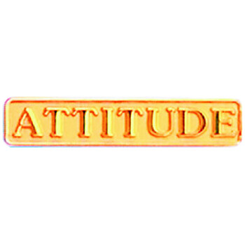 Bright Gold Attitude Service Lapel Pin