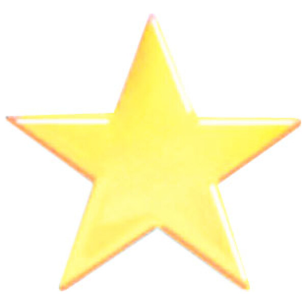 Bright Gold Star Service Lapel Pin