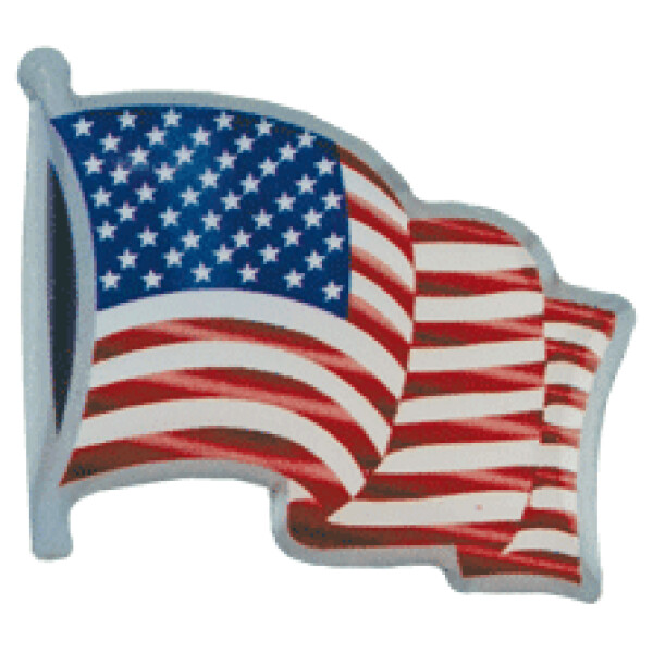 American Flag Service Lapel Pin in Silver