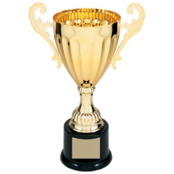 9 3/4" Gold Completed Metal Cup Trophy