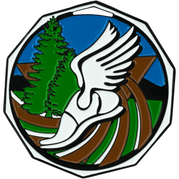 Cross Country Decagon Colored Medallion (2")